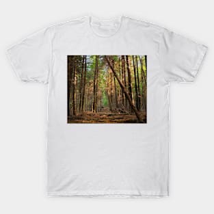 Larkins Hollow T-Shirt